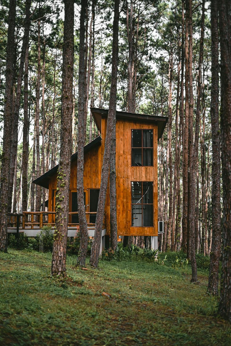 Featured project